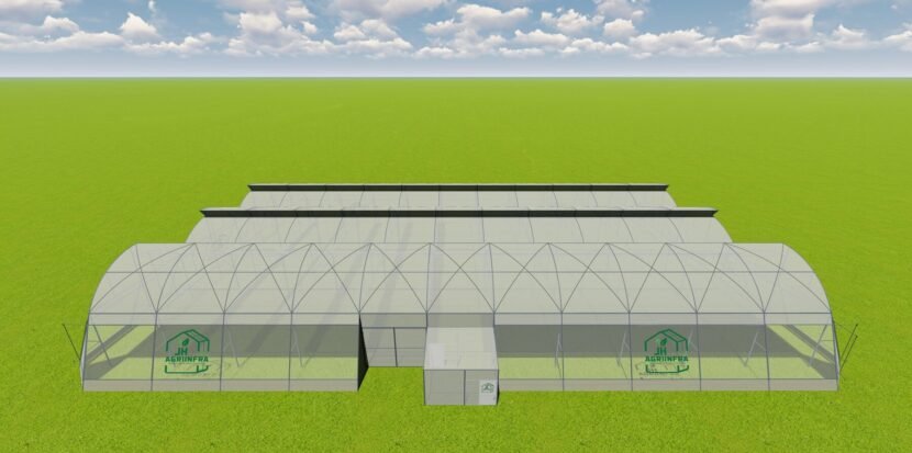 High-quality naturally ventilated polyhouse setup in Gujarat