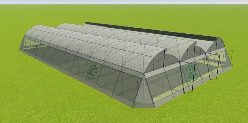 Top-rated naturally ventilated polyhouses for sustainable farming in India