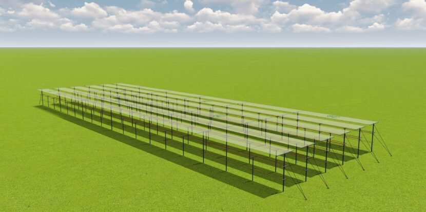 High-Efficiency Trellising and Shade Netting Solution for Dragon Fruit Cultivation in India