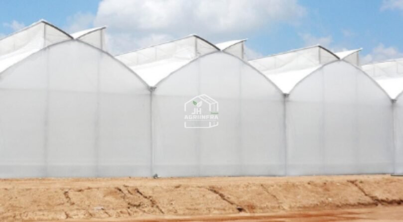 A modern butterfly vent naturally ventilated polyhouse installed by JH Agriinfra in India, promoting sustainable and climate-resilient agriculture.