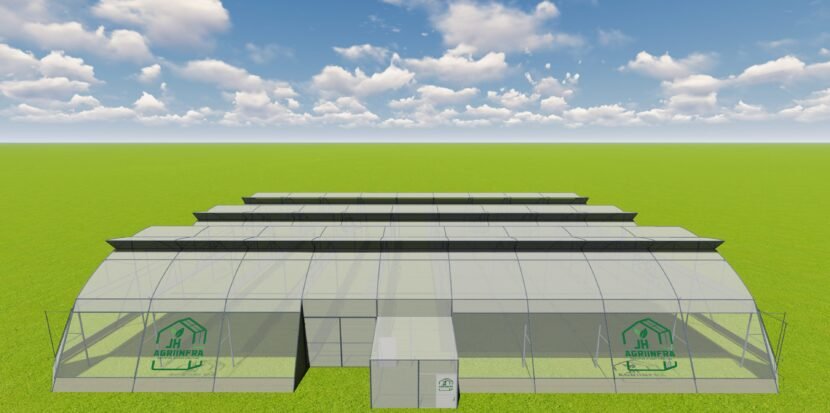 Butterfly vent naturally ventilated polyhouse in India built by JH Agriinfra for sustainable crop cultivation
