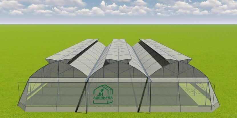 Butterfly vent naturally ventilated greenhouse in India designed by JH Agriinfra for sustainable farming