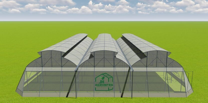 Double vent naturally ventilated polyhouse by JH Agriinfra in India for sustainable agriculture