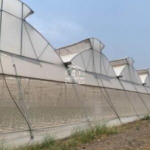 Modern double ventilation polyhouse structure designed for natural climate control in Indian agriculture by JH Agriinfra.