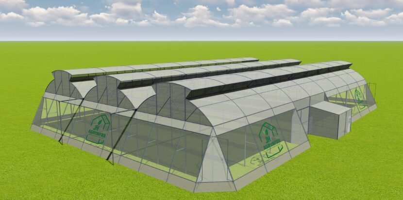 Double vent naturally ventilated greenhouse by JH Agriinfra, showcasing sustainable agricultural design with optimal airflow and eco-friendly farming structure.