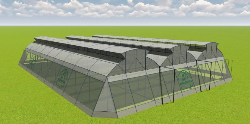 Double Vent Naturally Ventilated Polyhouse developed by JH Agriinfra in Gujarat, supporting sustainable and efficient crop production.