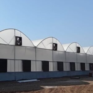 Alt text Fan-Pad Cooling System in a modern polyhouse setup by JH Agriinfra with cooling pads and exhaust fans for climate control.