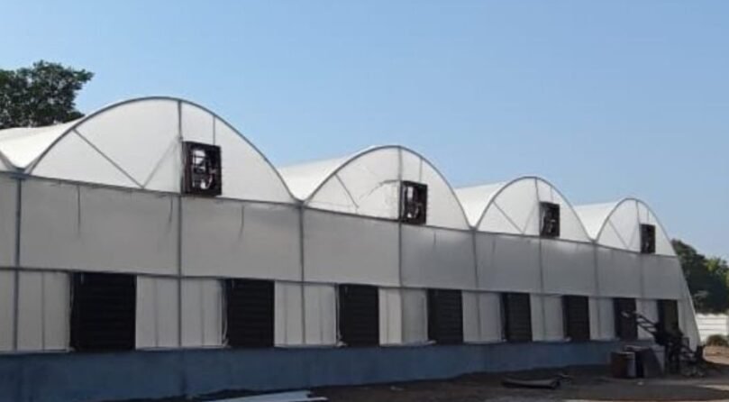 Fan and Pad Greenhouse Cooling System by JH Agriinfra Alt text Fan-Pad Cooling System in a modern polyhouse setup by JH Agriinfra with cooling pads and exhaust fans for climate control.