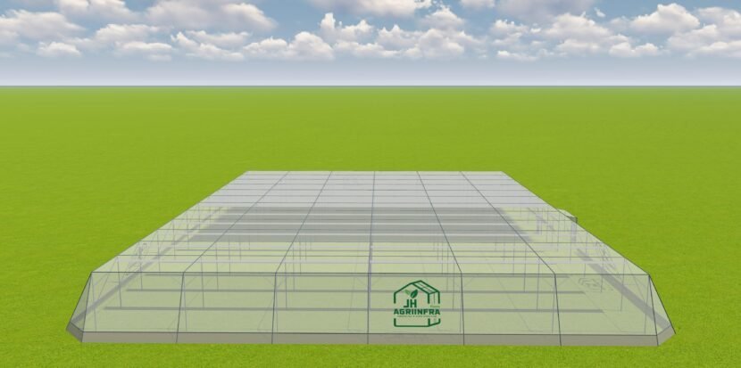 Flat roof shade net house structure for crop protection installed in Gujarat by JH Agriinfra