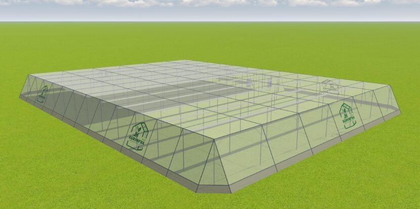 Top flat roof shade net greenhouse by JH Agriinfra with galvanized steel frame and UV-protected netting for modern protected farming.