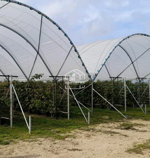 Multi Span Poly Tunnel