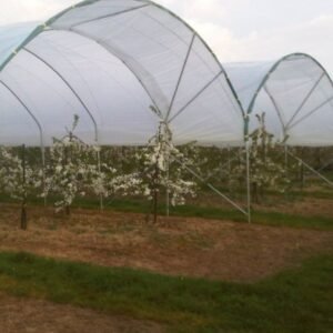 Multi Span Poly Tunnel by JH Agriinfra used for protected crop cultivation in modern farming