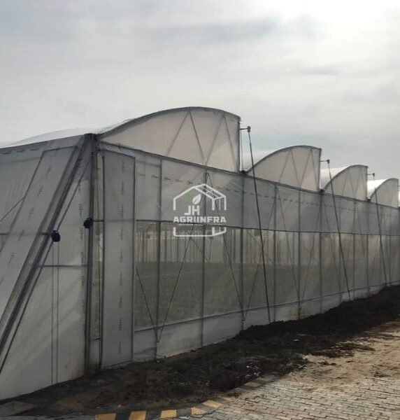 Saw-Tooth Naturally Ventilated Poly House