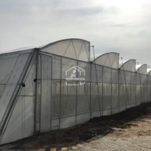 Saw Tooth Naturally Ventilated Poly House built by JH Agriinfra in India, showing modern greenhouse design with natural airflow system.