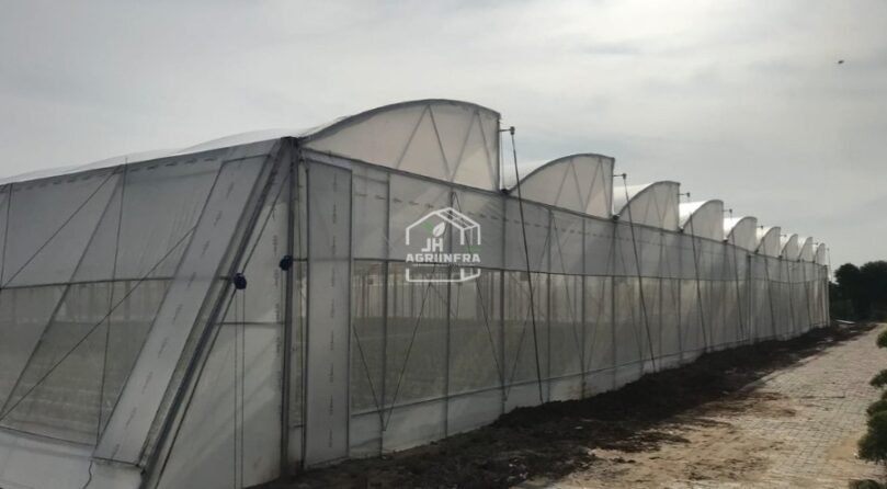 Saw Tooth Naturally Ventilated Poly House built by JH Agriinfra in India, showing modern greenhouse design with natural airflow system.