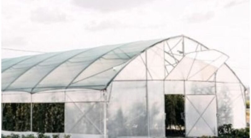 Single-Bay Poly Tunnel Advanced Monospan Poly Tunnel structure designed for protected cultivation and sustainable farming solutions by JH Agriinfra