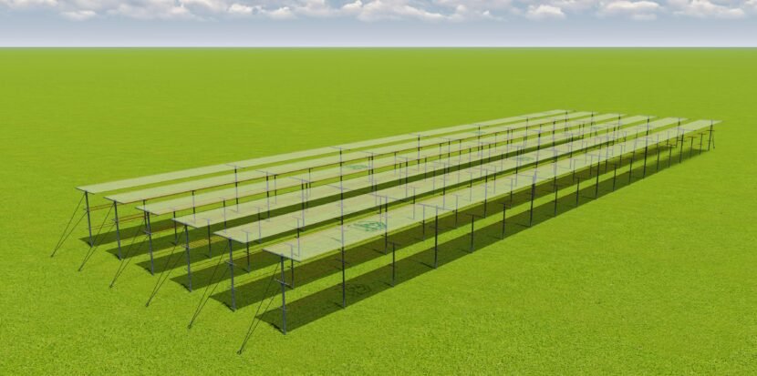 World-Class Orchard Infrastructure for Dragon Fruit Cultivation Designed by JH Agriinfra