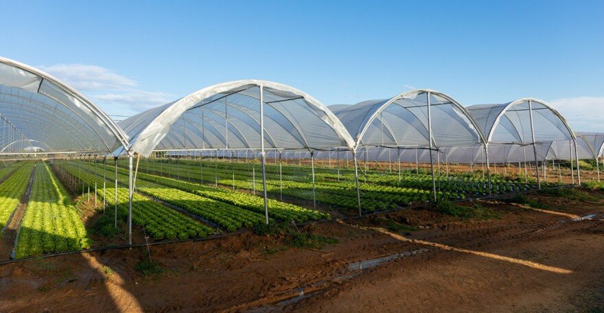 Multi-span tunnel greenhouse structure built by JH Agriinfra for large-scale farming.