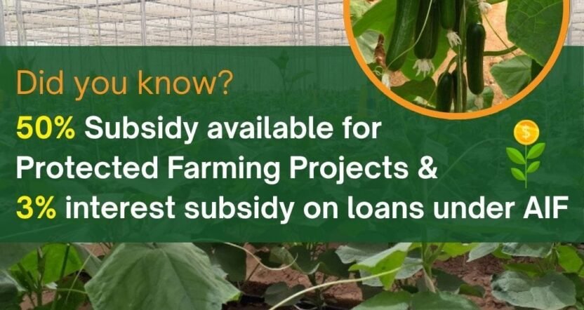 Government Subsidies for Greenhouse Projects in India