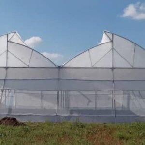 Functioning of a Naturally Ventilated Polyhouse (NVPH)