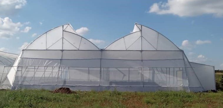 Functioning of a Naturally Ventilated Polyhouse (NVPH)