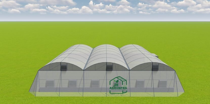 Fan and Pad Polyhouse by JH Agriinfra featuring advanced climate control systems for year-round sustainable farming.