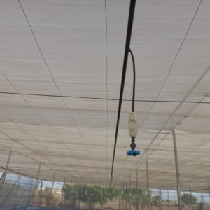 Fogging System in Greenhouse During Peak Summer