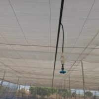 Fogging System in Greenhouse During Peak Summer