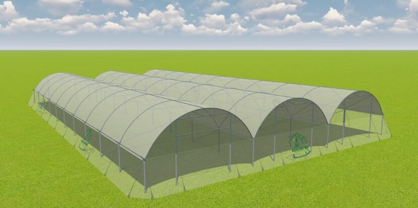 Plastic multi-span greenhouse with transparent plastic covering and metal frame by JH Agriinfra, used for advanced agricultural farming.