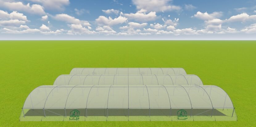 Blueberry tunnel farming structure by JH Agriinfra designed for optimized berry cultivation in a high tunnel greenhouse setup