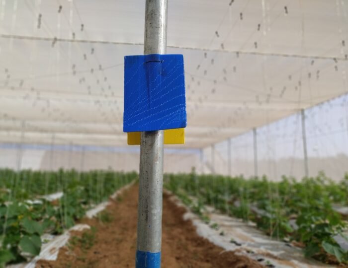 Blue Sticky Trap by JH Agriinfra for agricultural pest control and crop protection