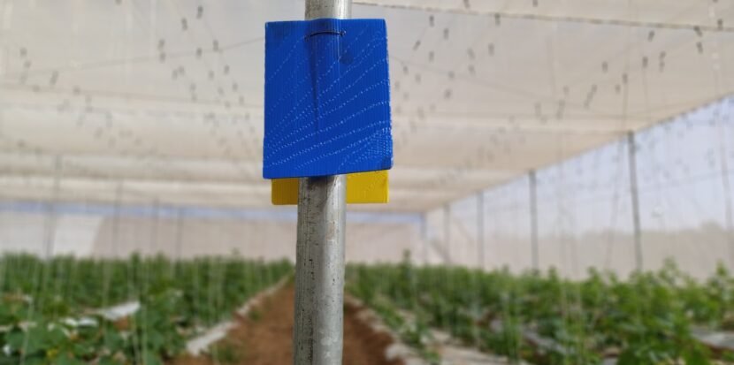 Blue Sticky Trap by JH Agriinfra for agricultural pest control and crop protection