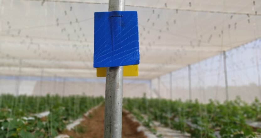 Blue Sticky Trap by JH Agriinfra for agricultural pest control and crop protection