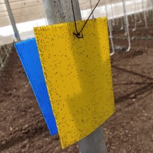 Yellow sticky trap for insect pest control in agriculture by JH Agriinfra, eco-friendly farming solution for crop protection.