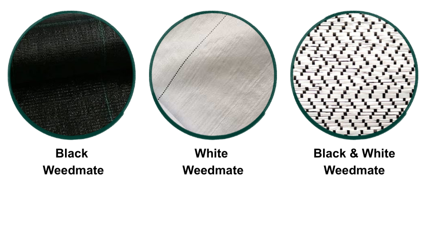 weedmate in greenhouse