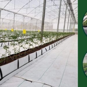 The Ultimate Guide to Weed Mats (Weedmate): Types, Benefits, and Greenhouse Uses