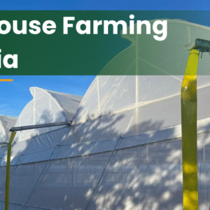 Polyhouse Farming in India 2026: Cost, Profit, Subsidy Guide for Farmers