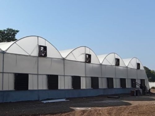 Alt text Fan-Pad Cooling System in a modern polyhouse setup by JH Agriinfra with cooling pads and exhaust fans for climate control.